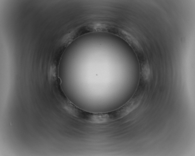 X0000115240571200911061150