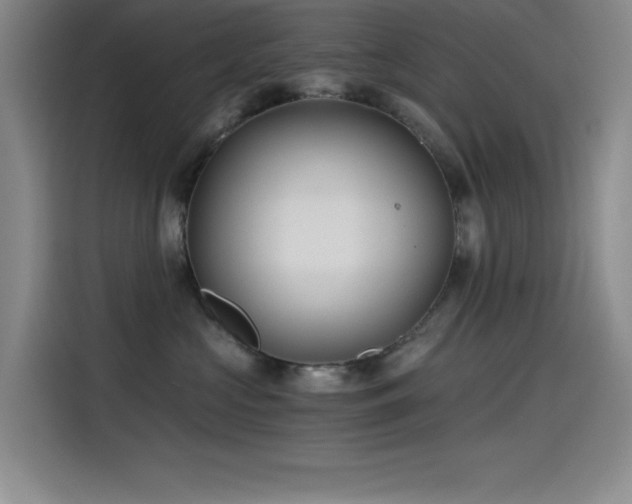 X0000115240573200911061150