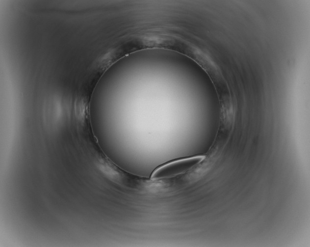X0000115240574200911061150
