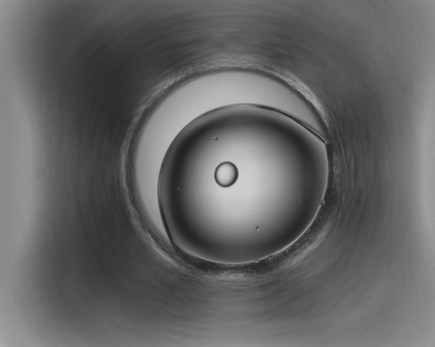 X0000115240581200911061149