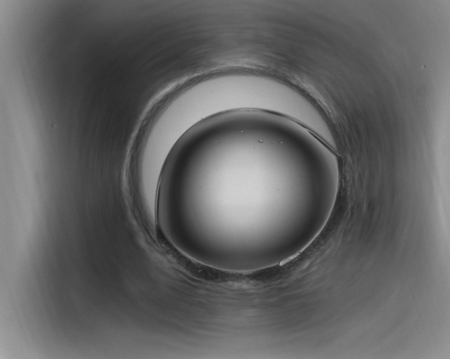 X0000115240583200911061149