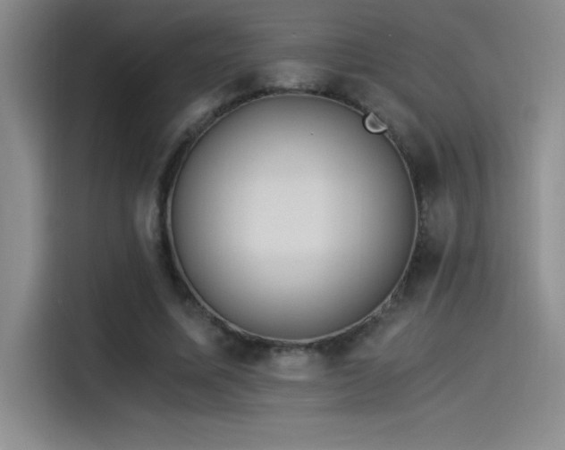 X0000115240587200911061149