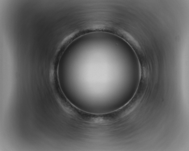X0000115240588200911061149