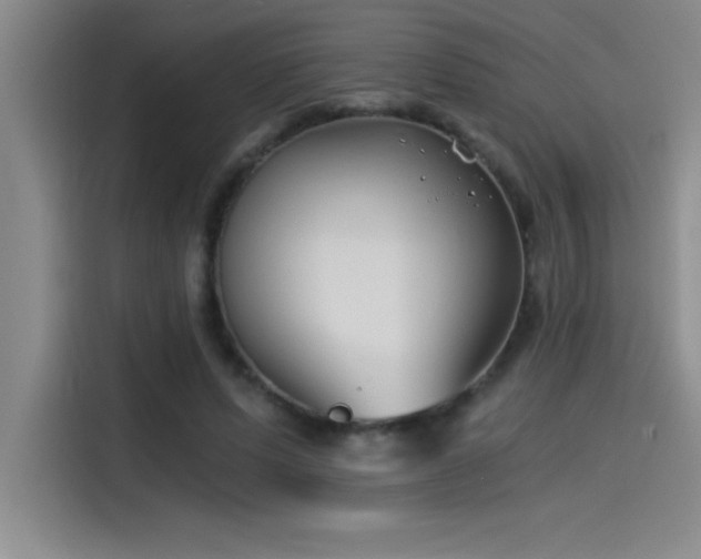 X0000115240591200911061149