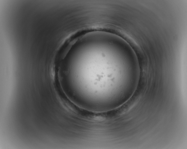 X0000115240592200911061149