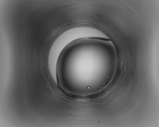 X0000115240595200911061149