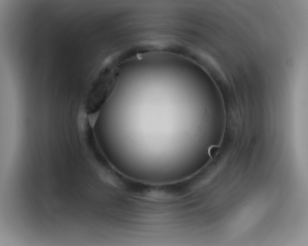 X0000115240596200911061149