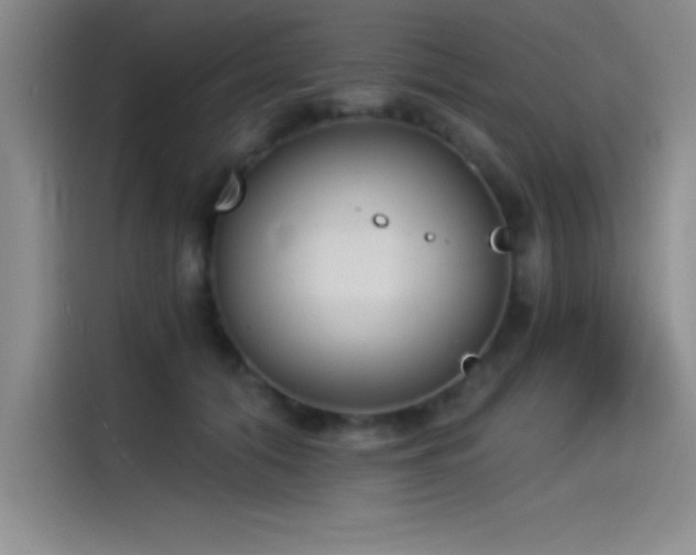 X0000115240608200911061149