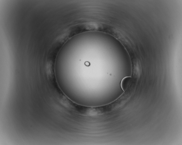 X0000115240616200911061149