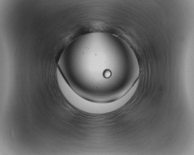 X0000115240621200911061149