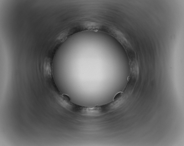 X0000115240622200911061149