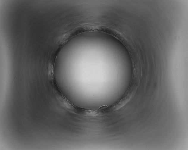 X0000115240624200911061149