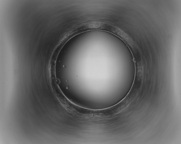 X0000115240626200911061148