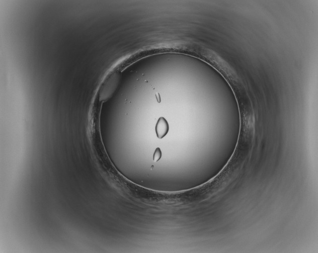 X0000115240628200911061148