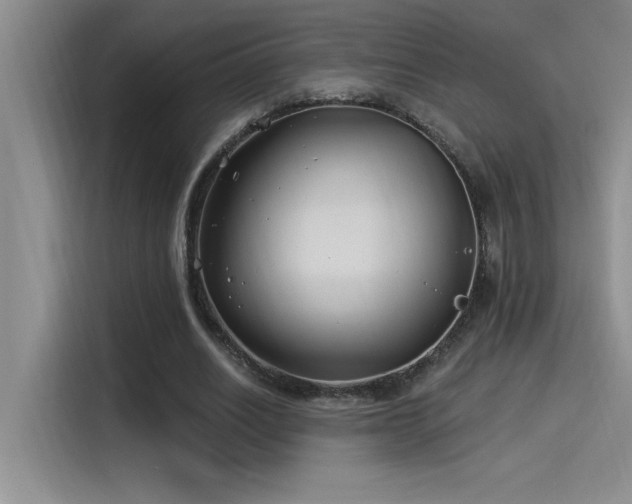 X0000115240630200911061148