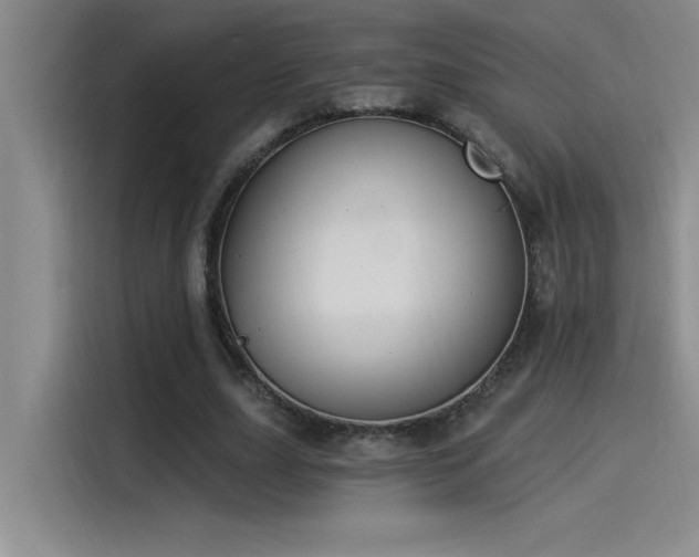 X0000115240631200911061148