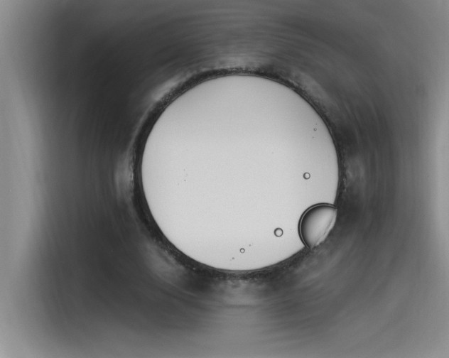 X0000115240632200911061148