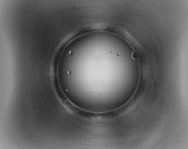 X0000115240634200911061148
