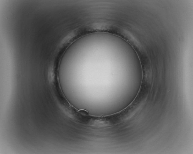 X0000115240635200911061148