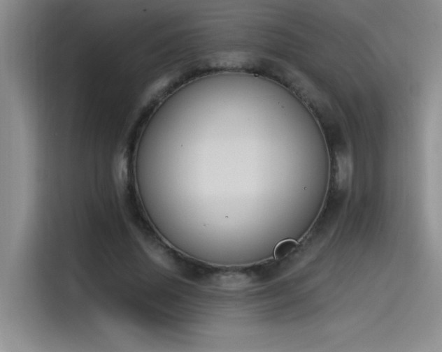 X0000115240636200911061148
