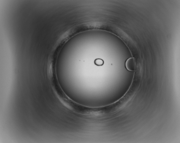 X0000115240638200911061148