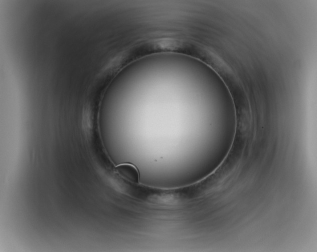 X0000115240639200911061148