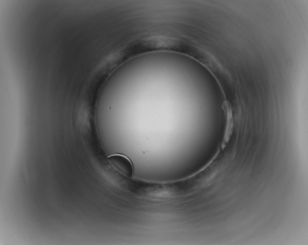 X0000115240643200911061148