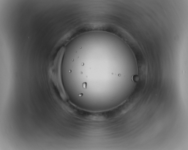X0000115240644200911061148