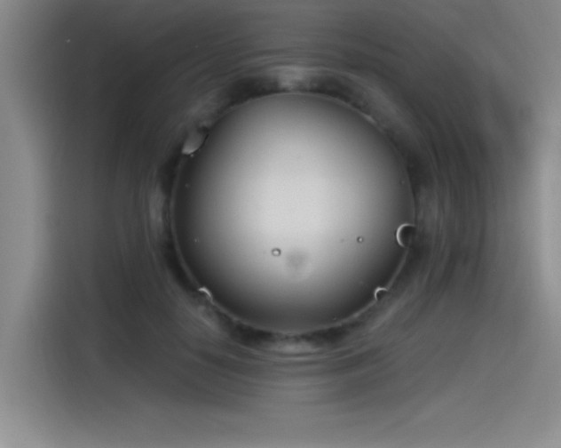 X0000115240650200911061148