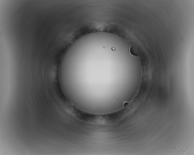 X0000115240656200911061148