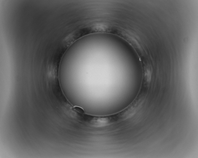 X0000115240665200911061148
