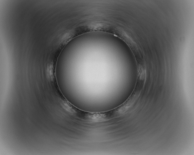 X0000115240670200911061149