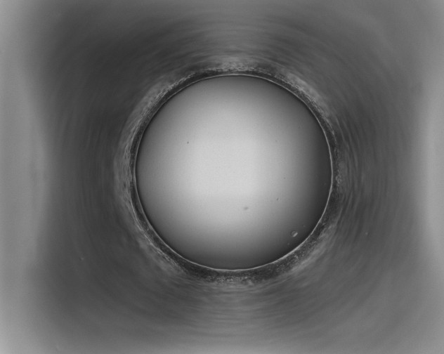 X0000115240673200911061148