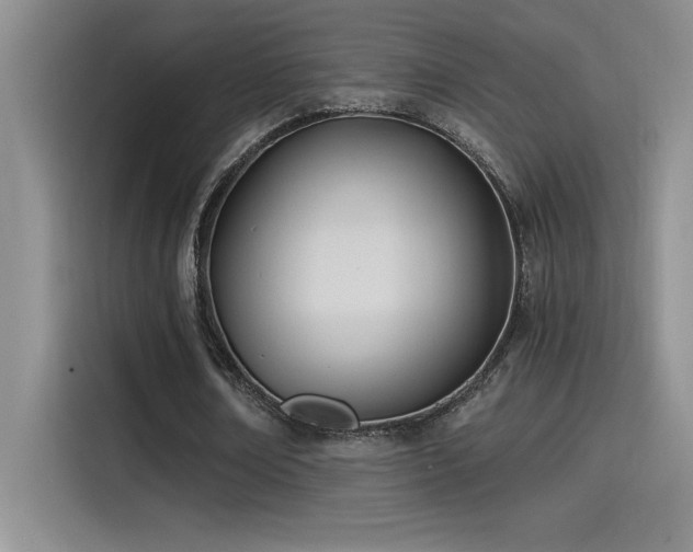 X0000115240674200911061148