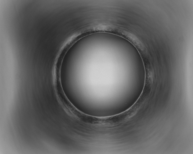X0000115240678200911061148