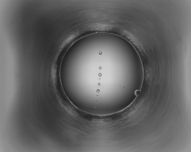 X0000115240679200911061148