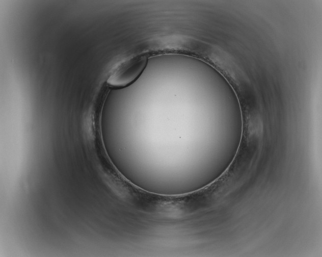 X0000115240680200911061148