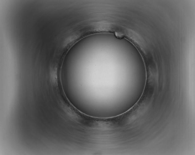 X0000115240681200911061148