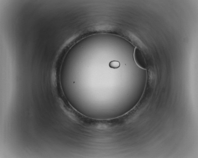 X0000115240684200911061148
