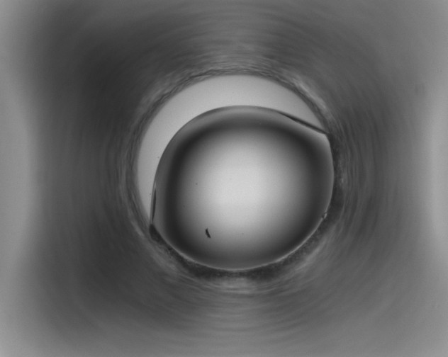 X0000115240685200911061148