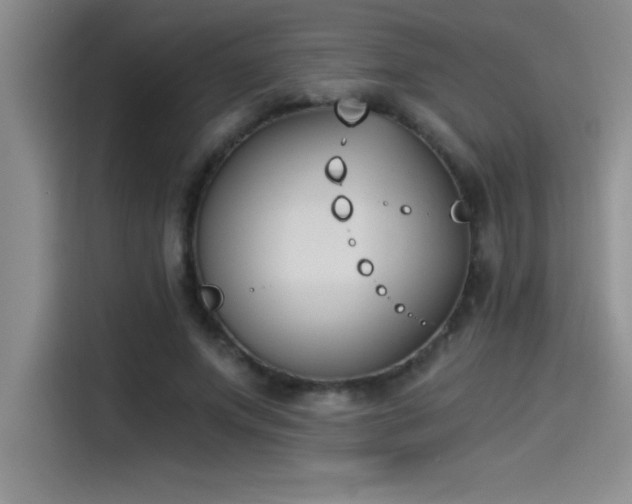 X0000115240687200911061148