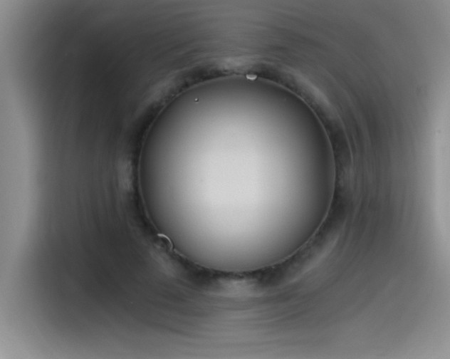 X0000115240689200911061148