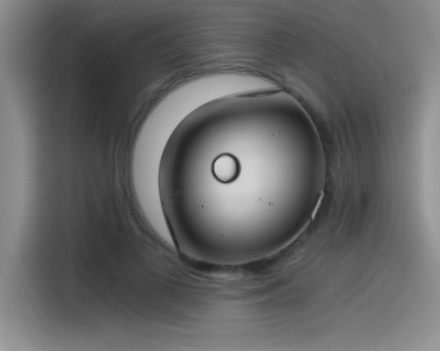 X0000115240693200911061148