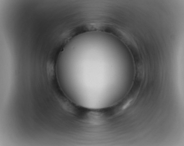 X0000115240699200911061148