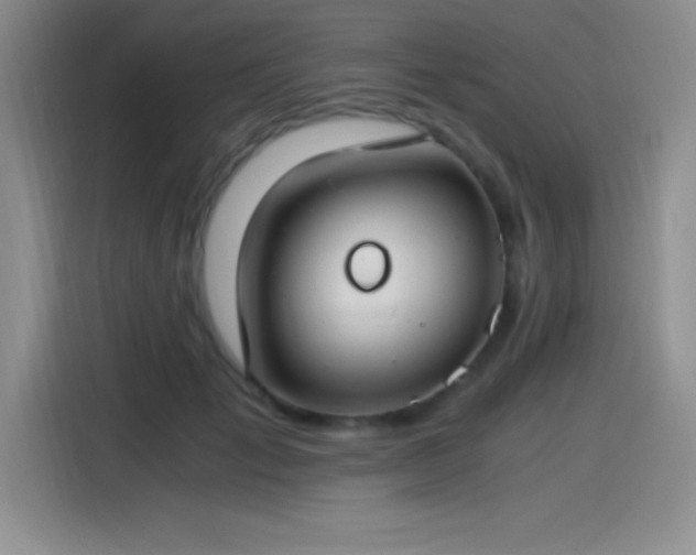 X0000115240701200911061148