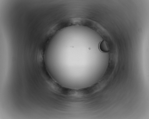 X0000115240702200911061148