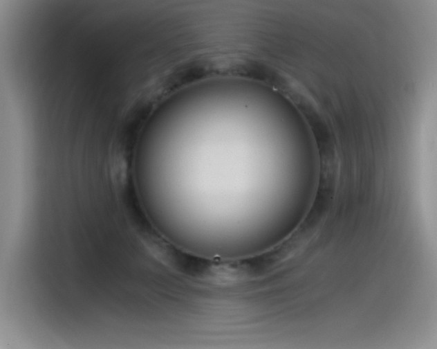 X0000115240703200911061148
