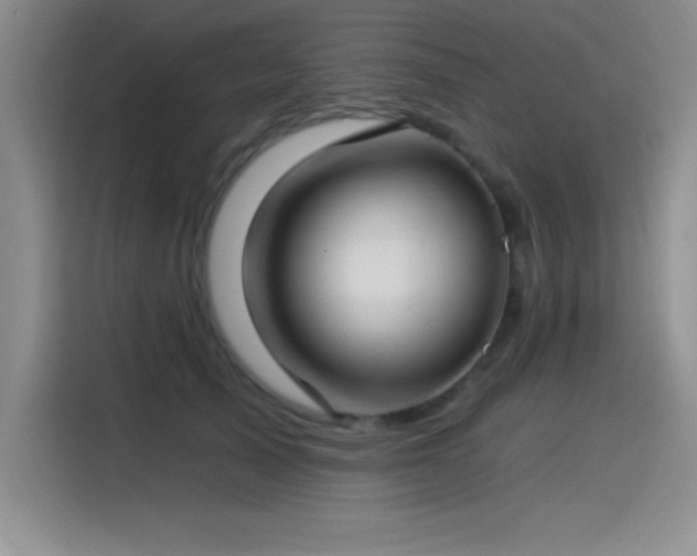 X0000115240705200911061148