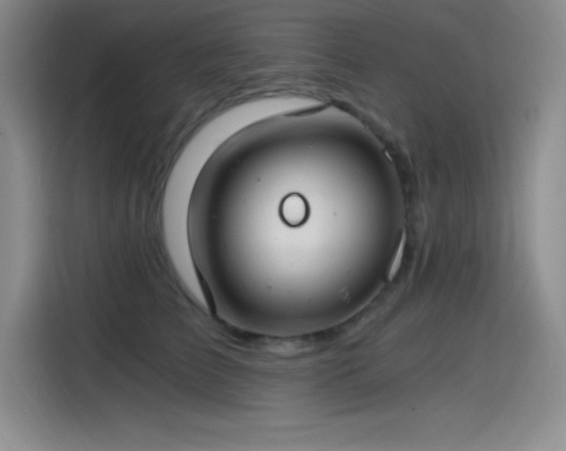 X0000115240709200911061147