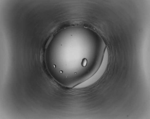 X0000115240712200911061147